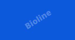 file cover.jpg